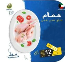 بوكس 20 حمامة