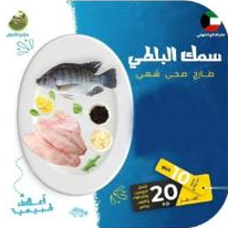 سمك البلطي - البوكس الكبير