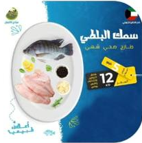 سمك البلطي - البوكس الصغير
